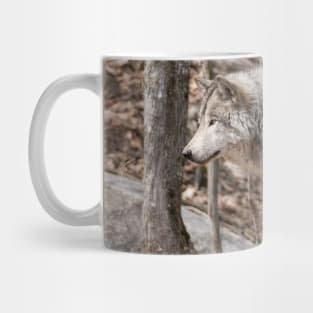 Gray Wolf Mug